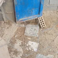 کبوتر