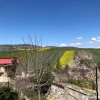 فروش زمین سنددار ساری آب برق گاز|فروش زمین و ملک کلنگی|فریم, |دیوار