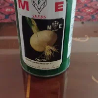 بذر ضد عفونی شده پیاز سفید