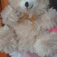 خرس|اسباب‌‌بازی|اردبیل, |دیوار