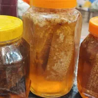 عسل صددرصد طبیعی|خوردنی و آشامیدنی|قم, مسجد امام حسن|دیوار