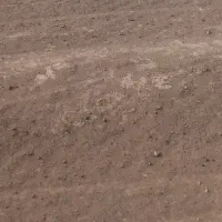 زمین ۱۵۰ متری/ قنوات/ دولت آباد