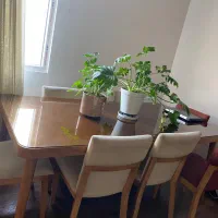 مبلمان ست با میز ناهار خوری|مبلمان خانگی و میز عسلی|تهران, مجیدیه|دیوار