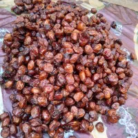 فروش خرمای خاصه اعلا زرد.