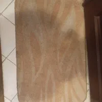 پادری