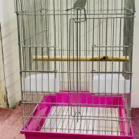 قفس پرنده