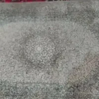 دو عدد پادری نو|پادری|تبریز, |دیوار