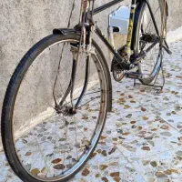 دوچرخه فونیکس اصل