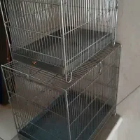 قفس سره درحد نو