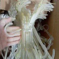 چوب لباس بچگانه|بندرخت و رخت‌آویز|شوشتر, |دیوار