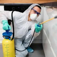 گروه سمپاشی(شبانه روزی)سم پاشی/موریانه ساس سوسک|خدمات نظافت|اهواز, کیانشهر|دیوار