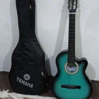 گیتار دیاموند همراه کیف