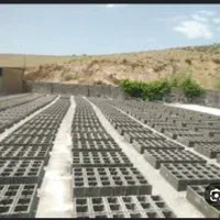 کارگر بلوک زنی
