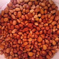 سنجدامساله خوش خوراک۱۳۰