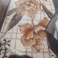 پتو یک نفره|رختخواب، بالش، پتو|بومهن, |دیوار