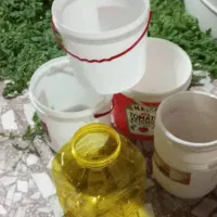 سطل