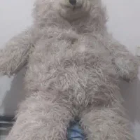 عروسک شاسخین بزرگ ۱۵۰|اسباب‌‌بازی|قرچک, داوود آباد|دیوار