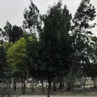 لطفا راهنماییم کنید