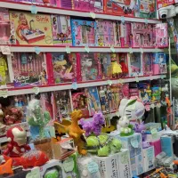 فروشنده خانم در اسباب بازی فروشی سرشار