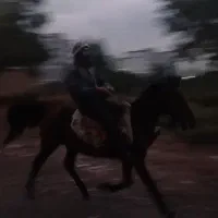 نریان کهر یورقه