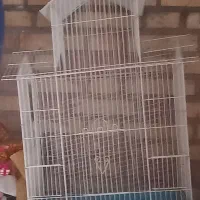 ۲ عدد قفس پرنده