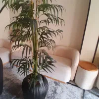 درختچه بلند مصنوعی وارداتی خارجی با گلدان|گل مصنوعی|تهران, مجیدیه|دیوار