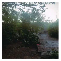 منزل-فروشی-خیراباد