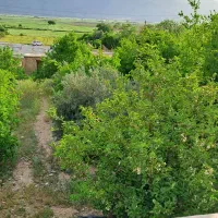 خونه ۲۰ سال ساخت جز طرح الهادی فاروق . مرادآباد|فروش زمین و ملک کلنگی|سیدان, |دیوار