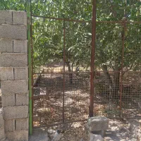 فروش زمین ۵هزارمتری آب کشاورزی مزرعه کمال|فروش دفتر صنعتی، کشاورزی، تجاری|کرج, کمال‌شهر|دیوار