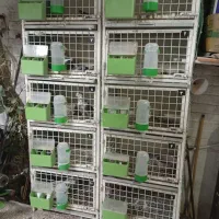 قفس آهنی جفتخوان ۵ طبقه خوب