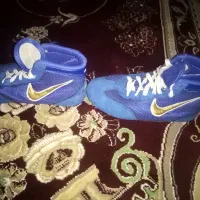 کفش کشتی|کیف، کفش، کمربند|الشتر, |دیوار