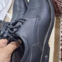 لباس|کیف، کفش، کمربند|سرپل ذهاب, |دیوار