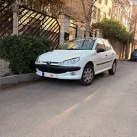 206 تیپ 2 بی رنگ استثنایی