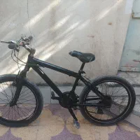 دوچرخه 24 ویوا