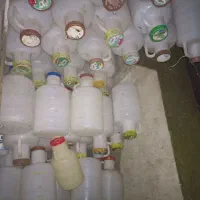 دبه خیارشور