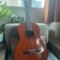 گیتار کلاسیک برند استگ stagg