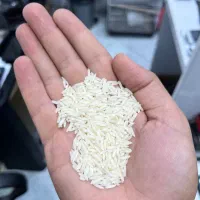 فروش برنج هاشمی درجه یک