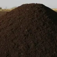 کودگاوی خشک