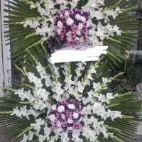 انواع ماشین عروس