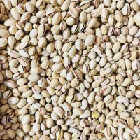 پسته دهن باز