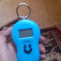 ترازو دستی ۳۵۰