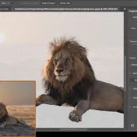 آموزش اتوکد رویت کتیا سالیدورک فتوشاپ ایلاستریتور