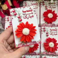 پول آرایی یلدایی|صنایع دستی و سایر لوازم تزئینی|هشتگرد, مدرس|دیوار