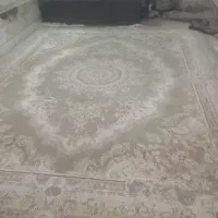 قالی خیلی تمیز هست