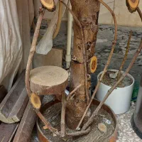 میز تلفن سنتی