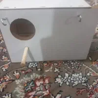 لانه عروس هلندی