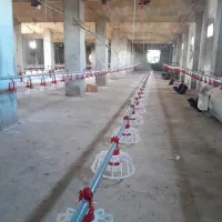 لوازم مرغداری کلیه تجهیزات|ماشین‌آلات صنعتی|لوشان, |دیوار