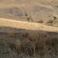 فروش زمین کشاورزی روستای امید