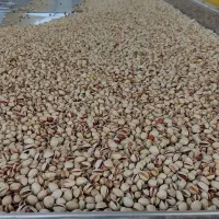 پسته و مغز پسته احمد آقایی امسالی|خوردنی و آشامیدنی|شاهینشهر, گزبرخوار|دیوار