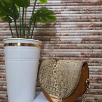 کیف دوشی مجلسی